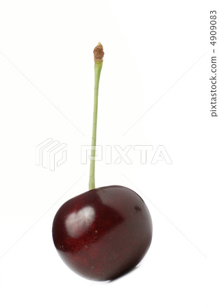 Cherry with shadow 4909083