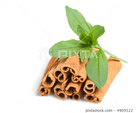 Cinnamon and green leaves Cinnamon and green leaves 4909122