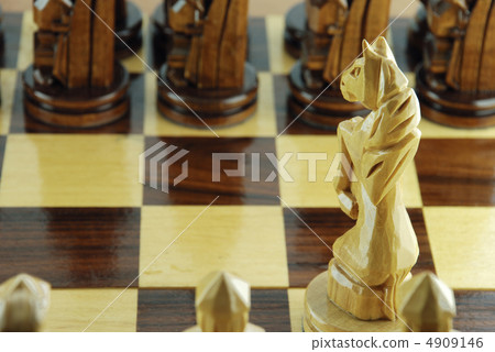 chess horse chess horse 4909146
