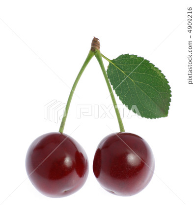 Cherry with leaf 4909216