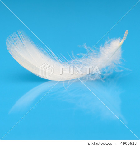 Feather 4909623