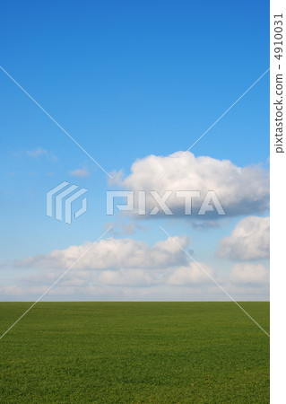 field and cloud field and cloud 4910031