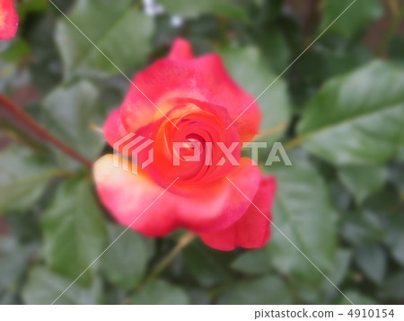 Princess Michiko Princess Michiko 4910154