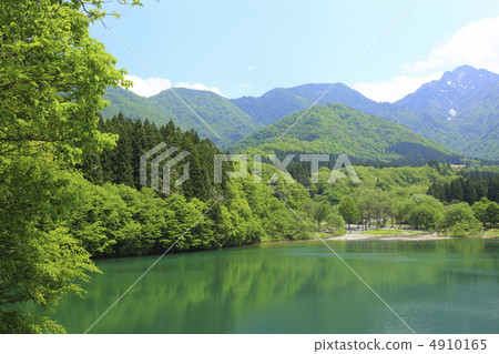 戴格塔峽谷的新鮮綠色 戴格塔峽谷的新鮮綠色 4910165