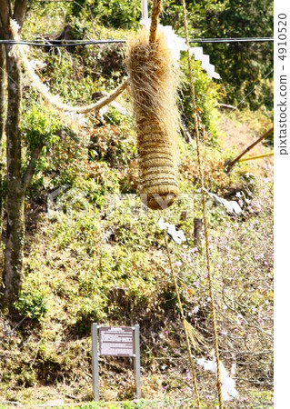 Asuka Inabuchi Genius of the Genius 4910520