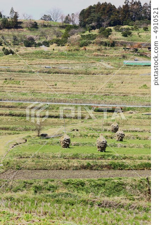 Asuka Inabuchi的水稻梯田 Asuka Inabuchi的水稻梯田 4910521