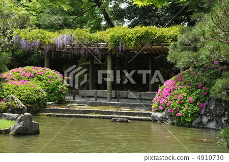 Spring of the castle in Kyoto Seongnam Spring of the castle in Kyoto Seongnam 4910730