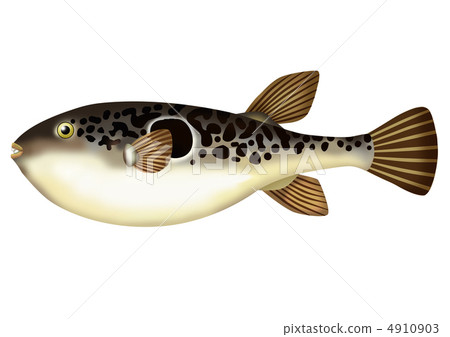 虎果 虎果 4910903