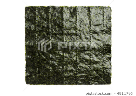 Seaweed Seaweed 4911795