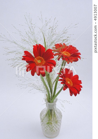 Gerberas and smoked glasses 4913007