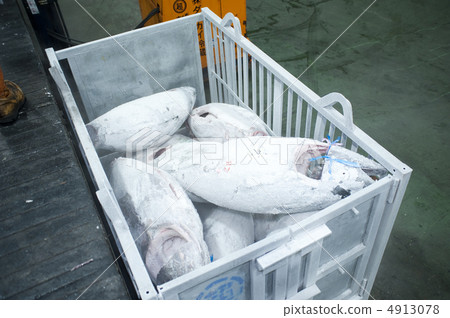 冷凍金槍魚 4913078