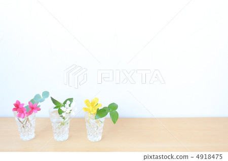 小花 4918475
