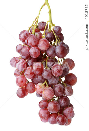 Grapes cluster Grapes cluster 4918785