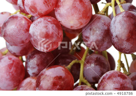 Background grapes Background grapes 4918786