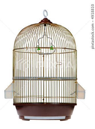Gold cage 4918810