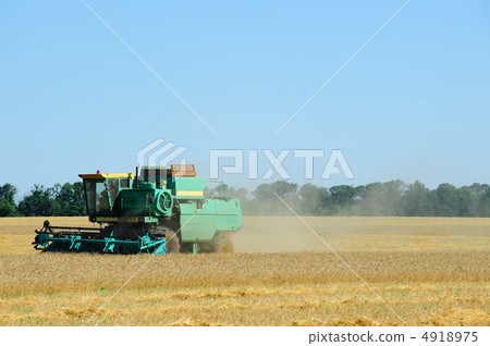 Harvesting Harvesting 4918975