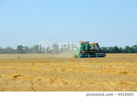 Harvesting 4918985