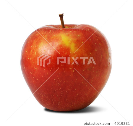 Apple Apple 4919281