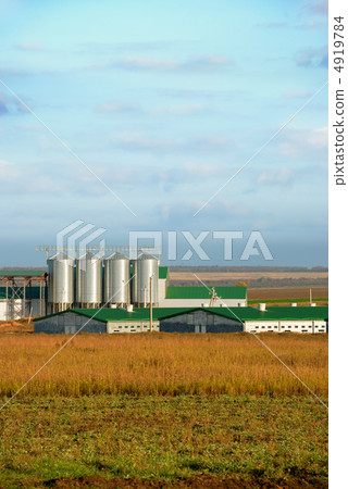 Modern animals - farm 4919784