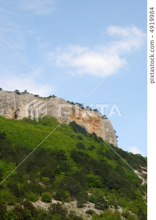 Mountains and forest 4919984