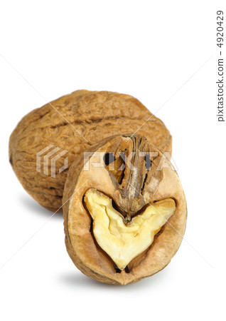 Split walnut 4920429