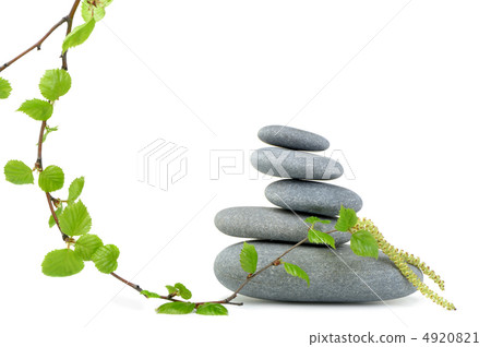 Branch of a birch and pebble 4920821