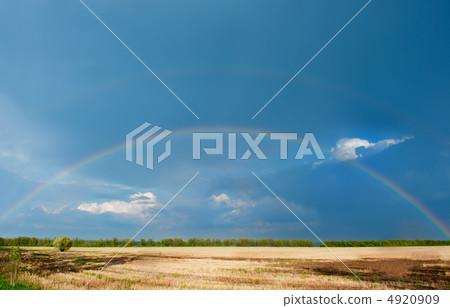 Rainbow Rainbow 4920909