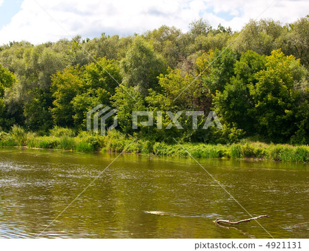 Picturesque forest and the river Picturesque forest and the river 4921131