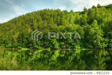 Picturesque forest and the river Picturesque forest and the river 4921153