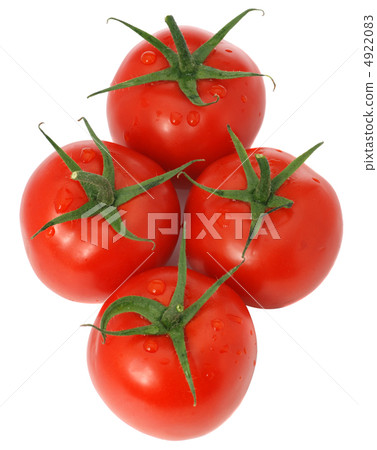 set tomato 4922083