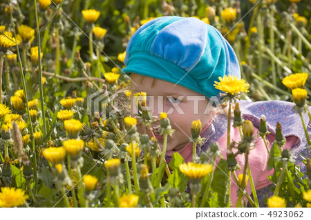 hide-and-seek hide-and-seek 4923062