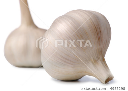 two garlic two garlic 4923298