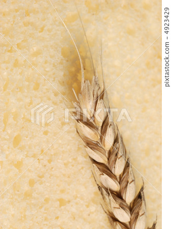 Wheat and texture bread Wheat and texture bread 4923429
