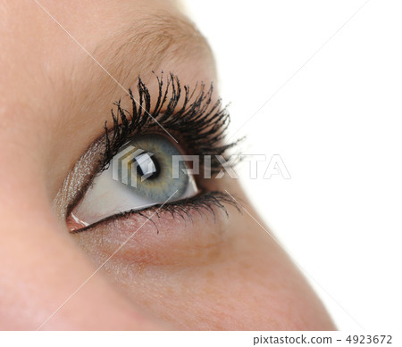 Female eye 4923672