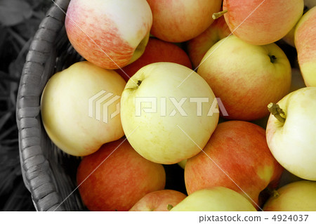 tasty apples tasty apples 4924037