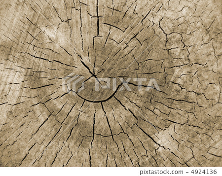old wood texture old wood texture 4924136