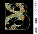 Letter B. 4924384