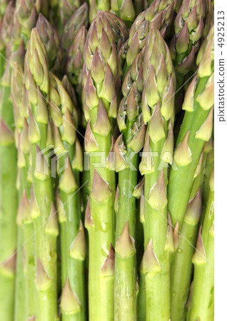 Asparagus (Green Asparagus) Asparagus (Green Asparagus) 4925213