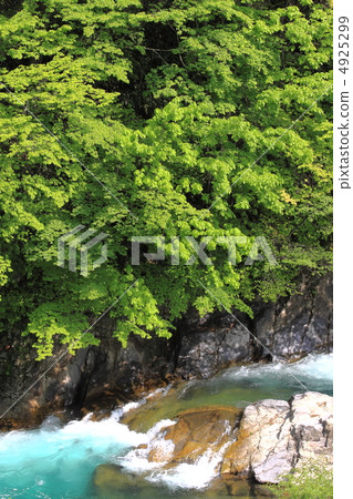 Fresh green clear stream Fresh green clear stream 4925299