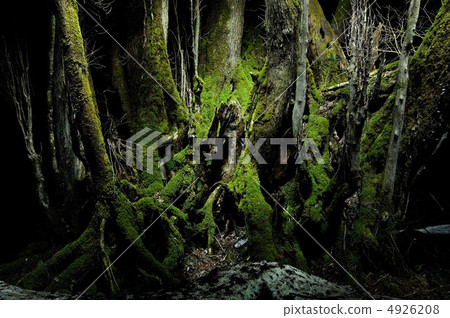 Daigakura of Japanese Land 4926208