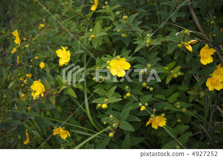 Hipercam·Hidcoat 4927252