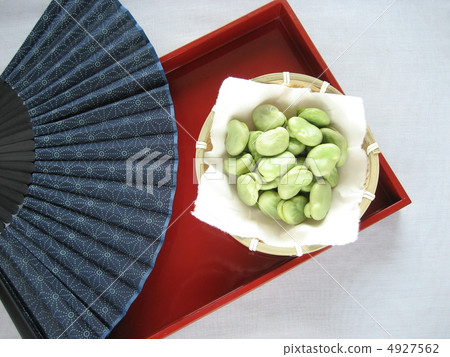 蠶豆 蠶豆 4927562