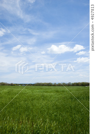 Extensive meadow Extensive meadow 4927813