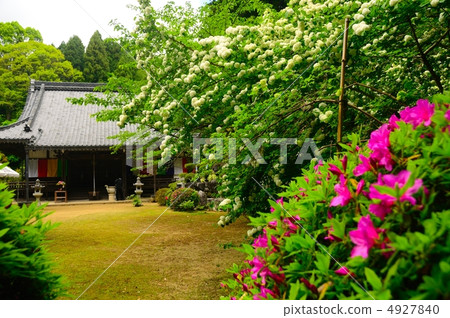 Funayadotera 4927840