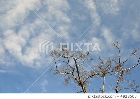 冬天的天空 冬天的天空 4928503