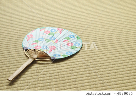 二見牽牛花 4929055