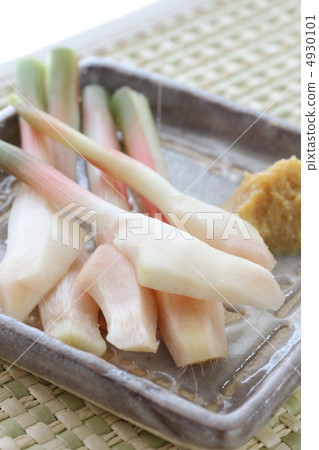 leaf ginger leaf ginger 4930101