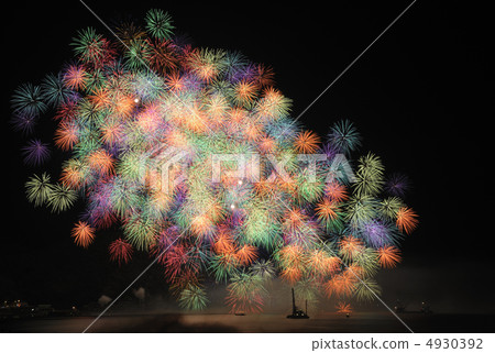 Chitose Chimera Chrysanthemum Chitose Chimera Chrysanthemum 4930392