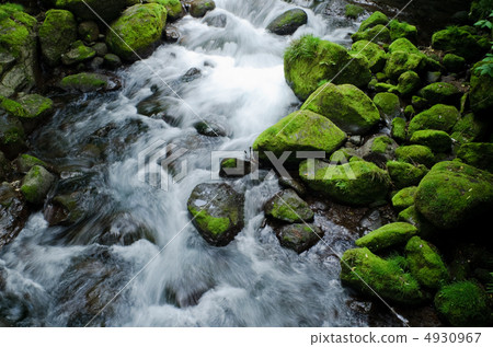 Kikuchi山谷和長滿苔蘚的岩石 4930967