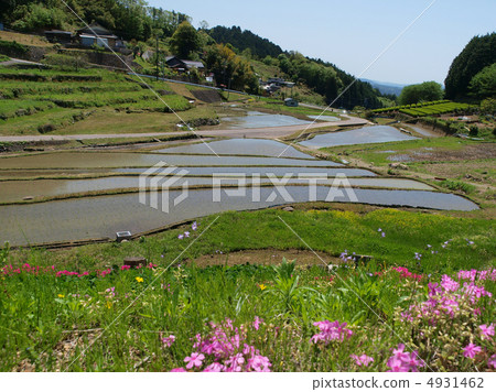Gifu · Kamida Rice terrace 4931462